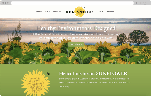 Helianthus